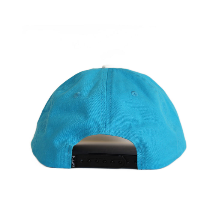 🇦🇷 Argentina Dad Cap