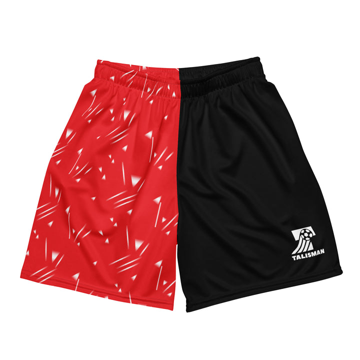 Candy Mesh Shorts