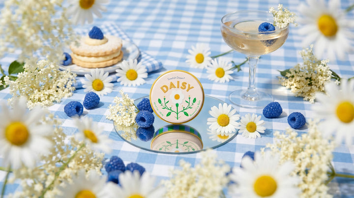 Sideline Blooms Daisy Botanical Lip Balm